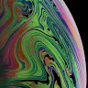 Meet your Posher, Brady